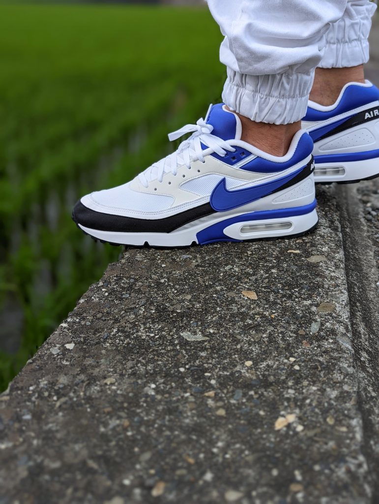 Nike air hotsell max bw persian